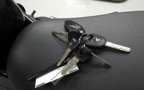 HONDA REBEL 1100 DCT 2023 SC83