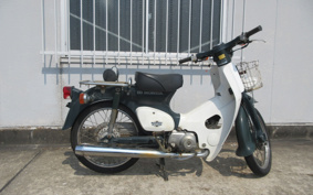 HONDA SUPER CUB50 C50