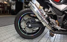 KAWASAKI NINJA 250 EX250L