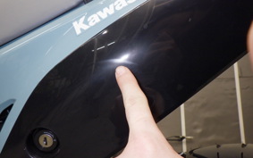 KAWASAKI KLX230SM LX232A