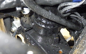 SUZUKI GSX250R