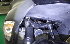 KAWASAKI NINJA 250 EX250L