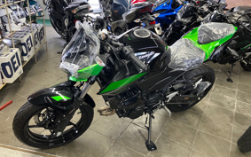 KAWASAKI Z250 EX250Y
