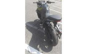 TRIUMPH TIGER 800 2026 L25P10