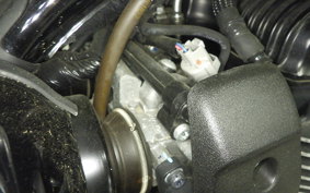 KAWASAKI W800 CAFE 2021 EJ800B