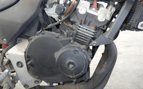 HONDA HORNET 250 MC31