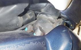 HONDA C100 SUPER CUB 2013 HA06