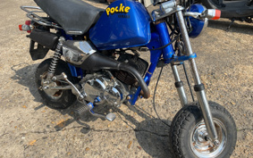 YAMAHA POCKET50 4U1