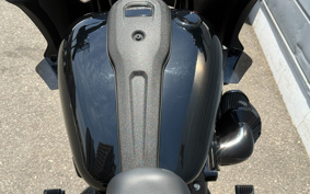 HARLEY FXLRST 2024 YXZ