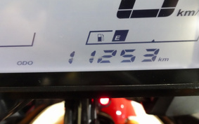 YAMAHA YZF-R25 RG74J