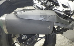 SUZUKI Vｽﾄﾛｰﾑ250 2010