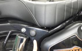 OTHER +ENFIELD BULLET350 2024