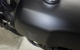 OTHER +ﾏｯﾄﾓｰﾀｰｻｲｸﾙｱｷﾀ250 2025