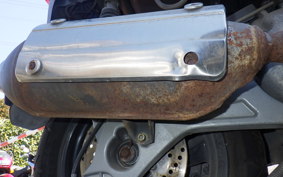 OTHER +ﾏﾗｸﾞ-ﾃｨ PHANTOM MAX250