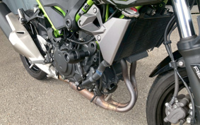 KAWASAKI Z400 2019 EX400G