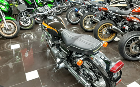 KAWASAKI W800 FE 2020 EJ800A