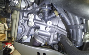 DUCATI DESSERT X 2024