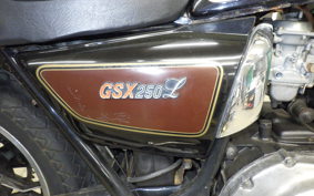 SUZUKI GSX250L 2011 GJ51E