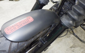 HARLEY XL883N 2017