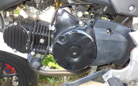 HONDA GROM JC61