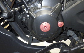 HONDA REBEL 250 S 2006 MC49