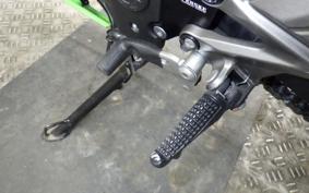 KAWASAKI NINJA 250 SL