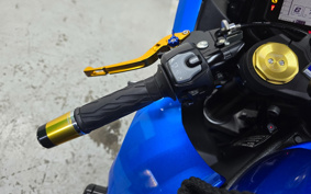 SUZUKI GSX-R1000R 2019 DM11A