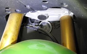 KAWASAKI NINJA ZX-6R A 2015