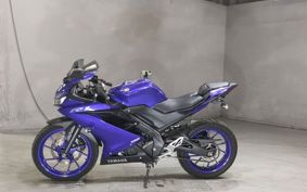 YAMAHA YZF-R15 RG67