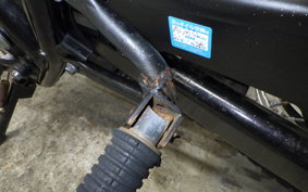 KAWASAKI 250TR 2019 BJ250F