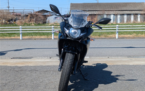 SUZUKI GSX250R DN11A