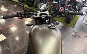 TRIUMPH SPEED TWIN 900 2023 DAD74G