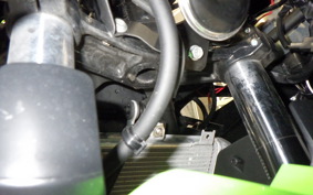 KAWASAKI NINJA 400 2024 EX400G