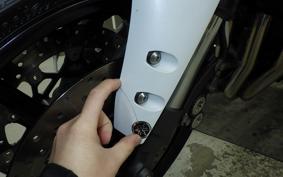 YAMAHA FZ1 FAZER 2013 RN21J