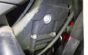 YAMAHA YZF-R25 1996 RG10J