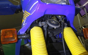 YAMAHA TDR250 2002 2YK