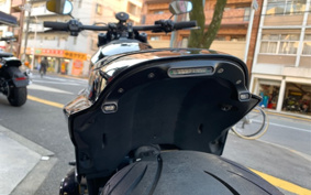 HARLEY HARLEY FXDRS 2021 YVK