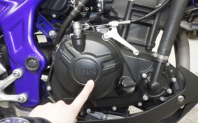 YAMAHA MT-25 2017 RG10J