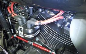 HARLEY FLTRX1920 2024