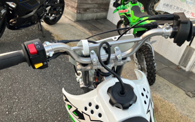 KAWASAKI KLX110L LX110D