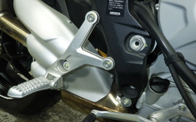 MV AGUSTA BRUTALE 800 A 2022