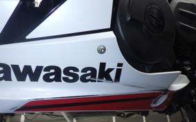 KAWASAKI NINJA 400 2022 EX400G