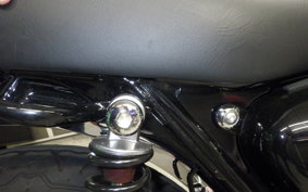 KAWASAKI W800 2022 EJ800E