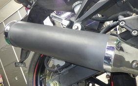 KAWASAKI NINJA 250R EX250K