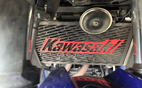 KAWASAKI NINJA 250 EX250L