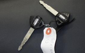 SUZUKI GSX-S1000 Gen.2 2023