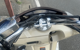 YAMAHA MAXAM 250 SG21J