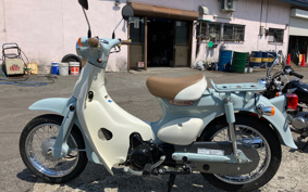 HONDA LITTLE CUB AA01