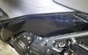 KAWASAKI NINJA 250 2020 EX250P