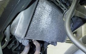 KAWASAKI Z250 2024 ER250C